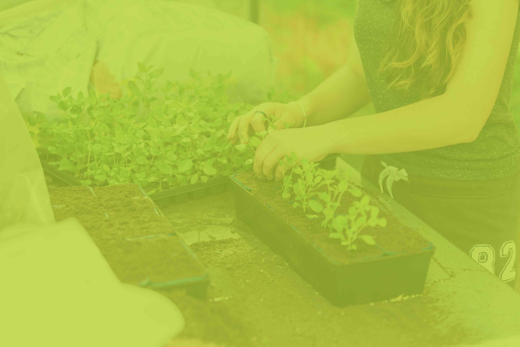 Lire la suite à propos de l’article Bac Pro Conduite de Productions Horticoles (CPH)